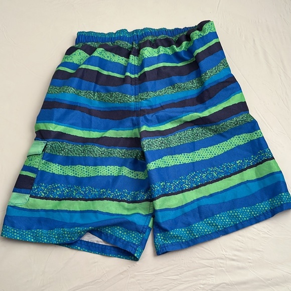 Nike multicolor stripe breaker mesh lined 8” volley swim shorts - Picture 2 of 11